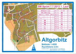 20130707_SM Sprint Lauf1-H45-klein